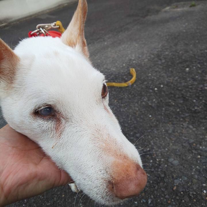 37763bb4 8eb7 4f12 aab8 59e93ff4b4a2 1560981474176