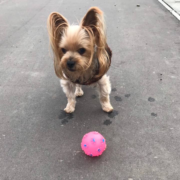 377653b3 cca7 4005 a9d9 e5a781db7da6 1574762709352