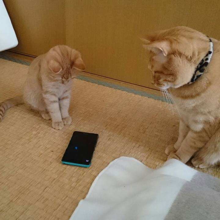 377657b0 2e70 4c09 945b 25d21b21021a 1542420673301