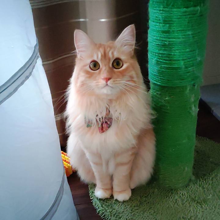 37767ac0 b842 4a24 ab85 a4707ef423be 1656367107053