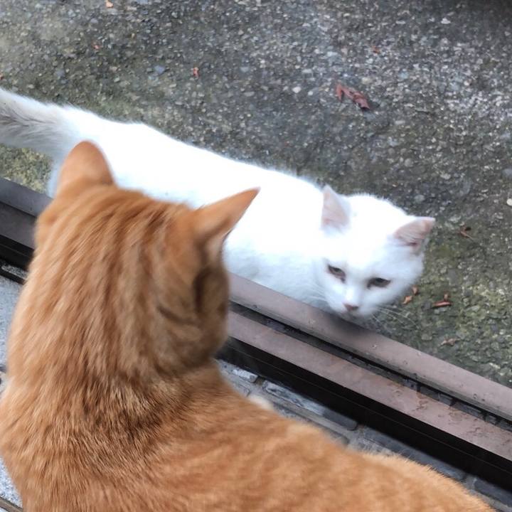 377691b4 ba43 437d a141 33d9bbbd57d8 1511776740022