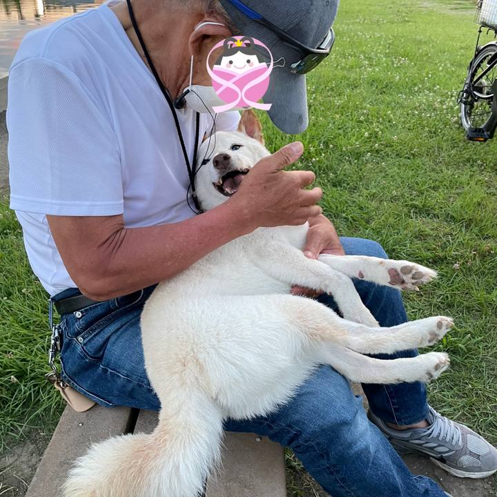 3776e260 1764 4dd8 aff6 9baeb9fc55b4 1656596707438