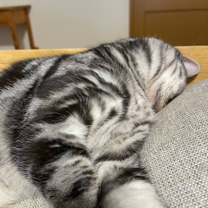 3777174e cb2e 4fad bbdc 882049b83f8d 1758365259392