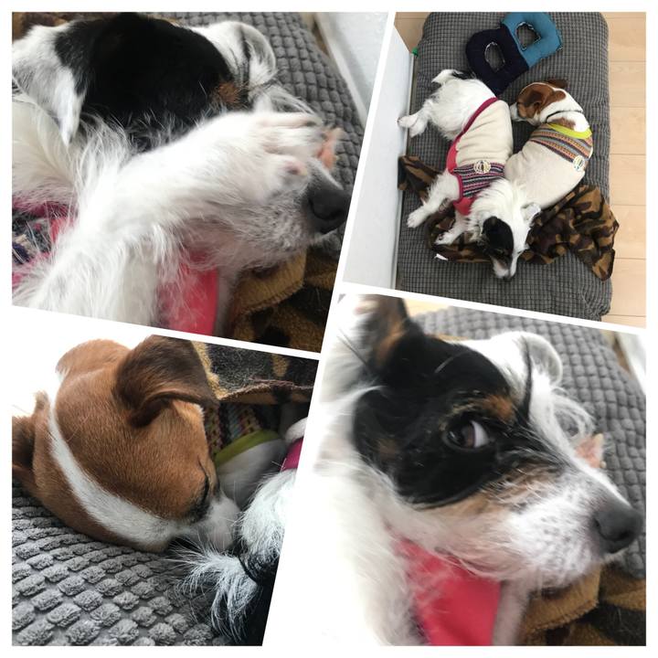 37774105 08fa 4baf b20b d18a30a1a39f 1520572406519