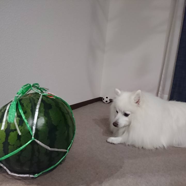 3777572a ca43 4b63 bdd9 fe5b0090ec72 1622111968681