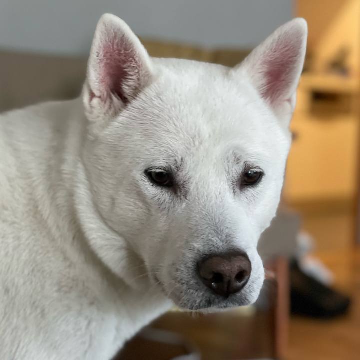 3777584a 55d9 451d a65f dca2d5d676ee 1643882520614