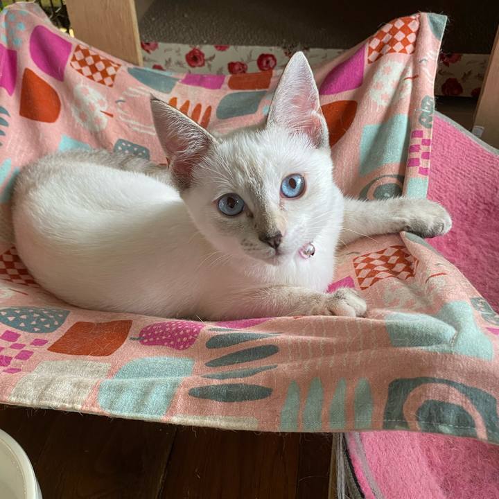 3777b646 6aef 45d1 9fe6 a9a5f9e60d35 1629332134392