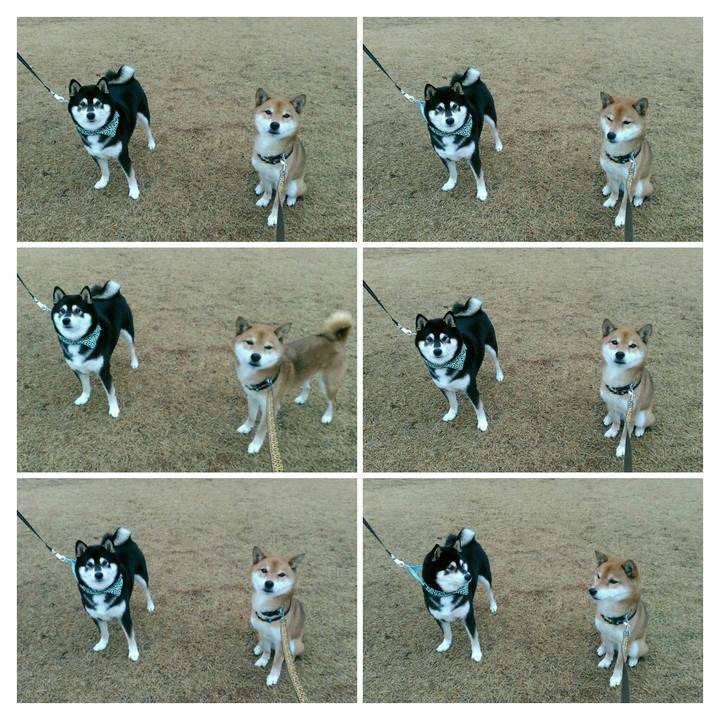 3777c2e4 f543 4b5e b5b0 f1293c3646d4 1578447910381