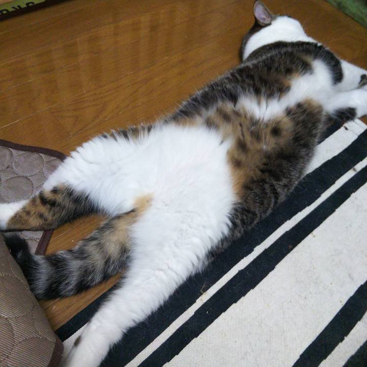 37782395 195d 4cdb b661 8bef23bcc72d 1660480874984