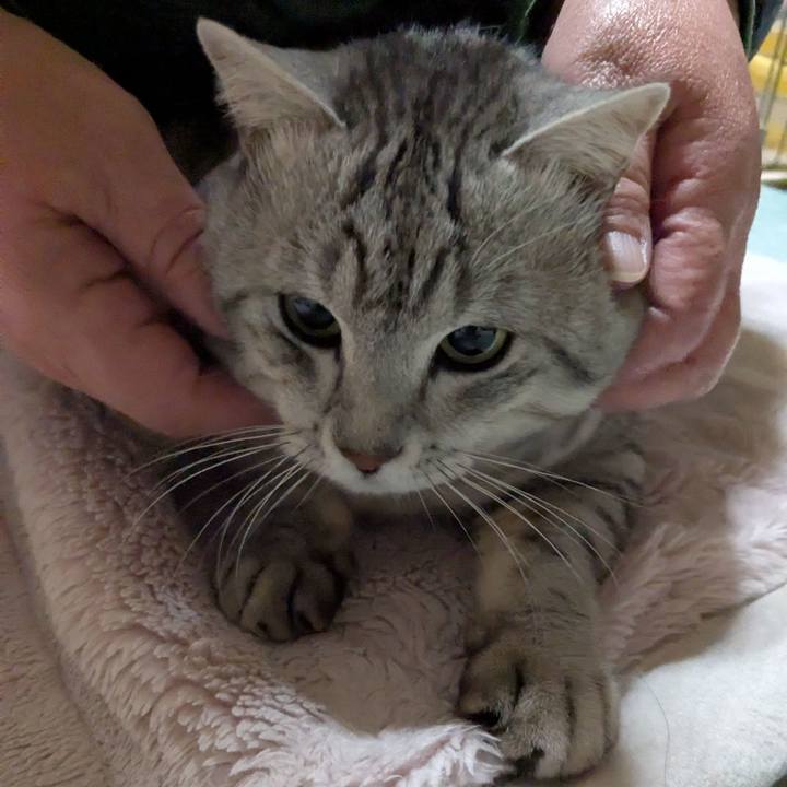 377862b2 f5f0 4728 90b9 c01ce7998268 1767502017358