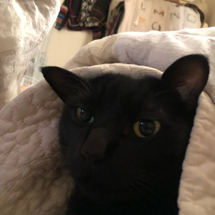 37786429 67b3 4746 8699 99614953523c 1671232809417