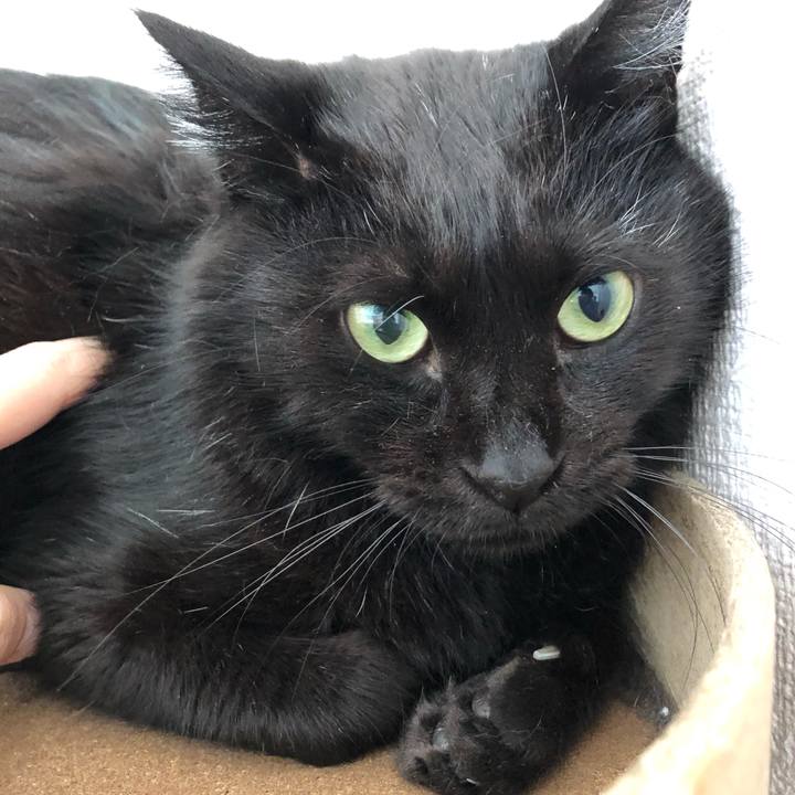 37787a8f 00fb 4155 9882 af941f765aa7 1566698493114