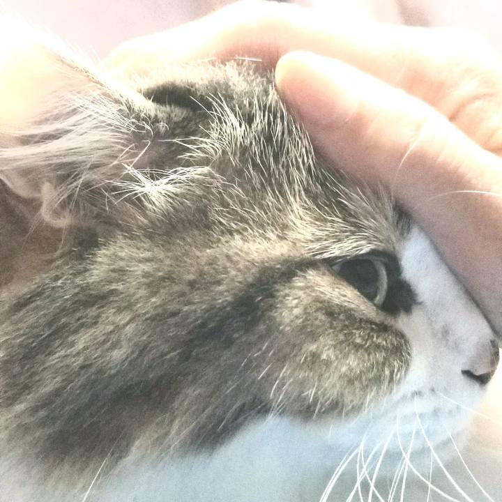 377884c6 ecc2 4c81 8d3c 72cb843d0f6b 1571435194969