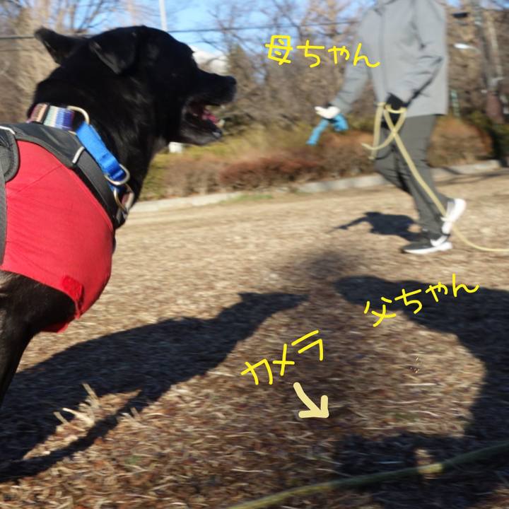 3778b876 830f 4f4b 848b 1184d94b48f0 1645147521325