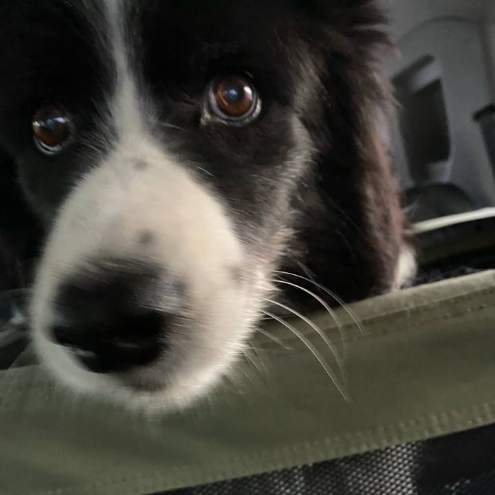 3778d576 6b4f 4813 a184 3d0788ebee54 1668549725038