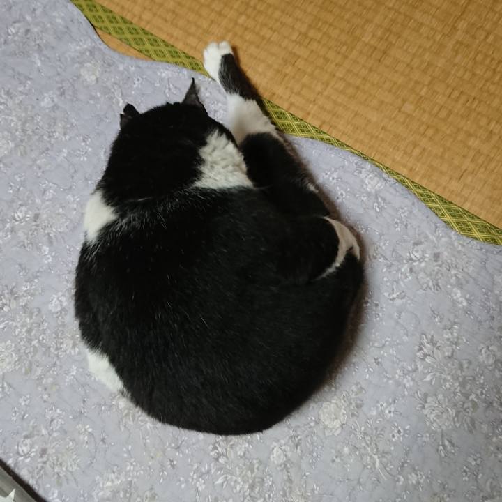 37796ee8 9644 4986 ad90 01663eb733b2 1580307195800