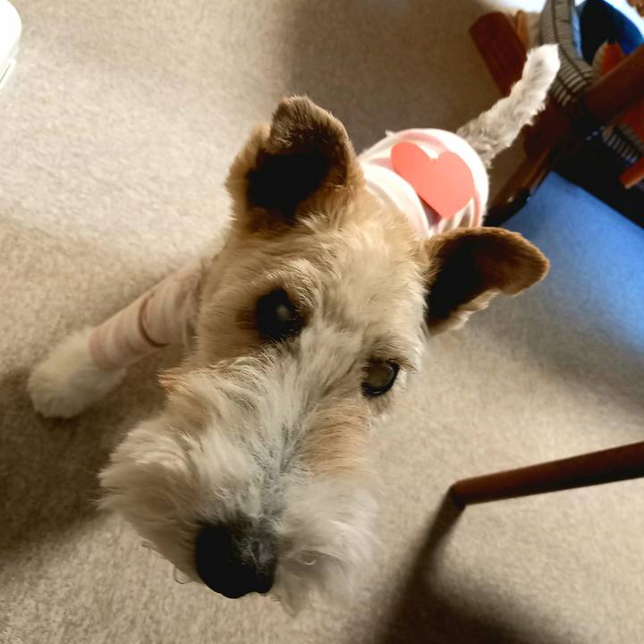 3779ad4a 5e4b 4290 9129 0b151815901b 1613298769444