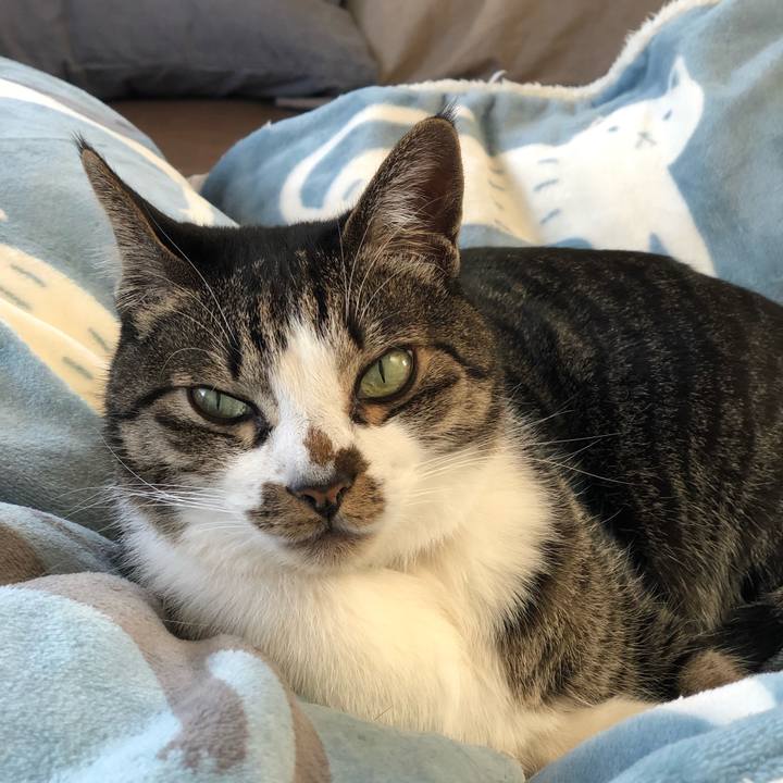 3779bd08 2fe6 4886 b835 1c1e063b9d4a 1550799478911