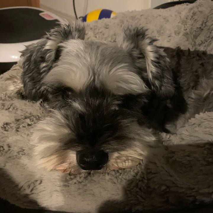 3779c399 780a 466e bd81 5055552345d3 1665544162691