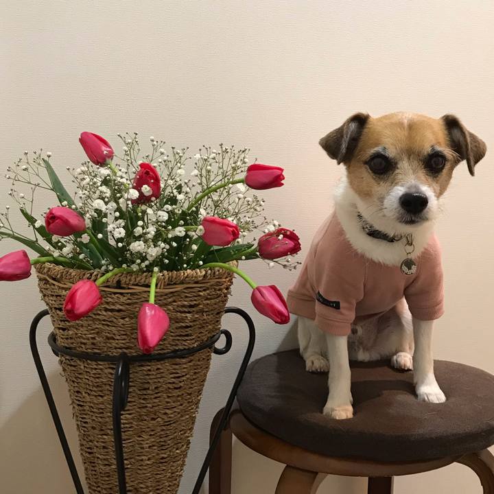 3779ccf0 bb32 4b68 9e8c 9a6c550dd090 1550723451168