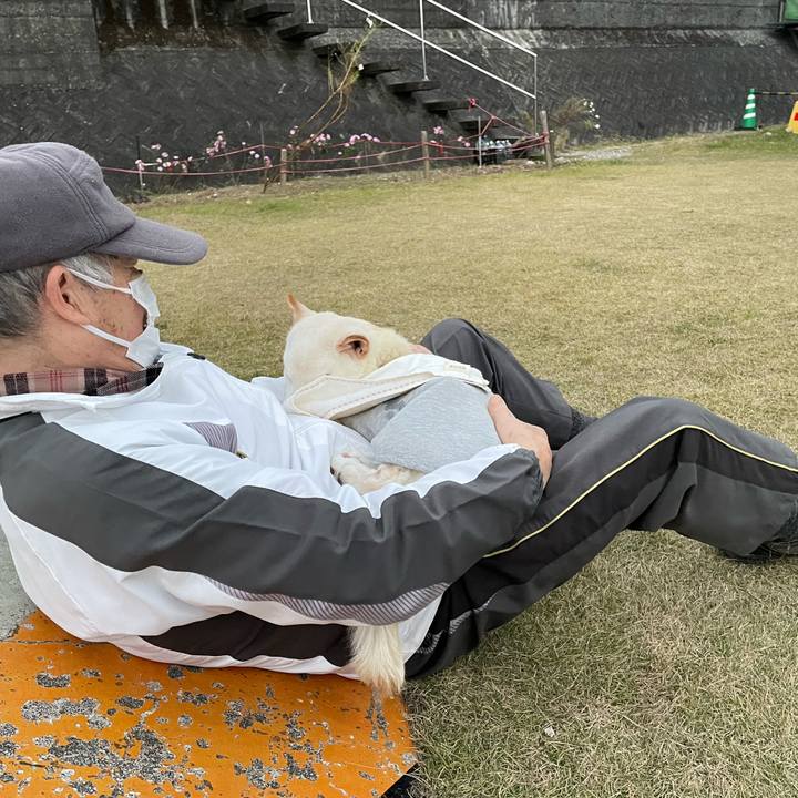 3779cfb5 7491 41e1 a2d6 115d2848e5c7 1670672606225