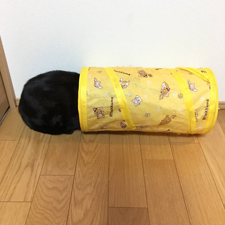 3779f757 4cf2 496a 873d 4e839fdfe5b1 1515801987958