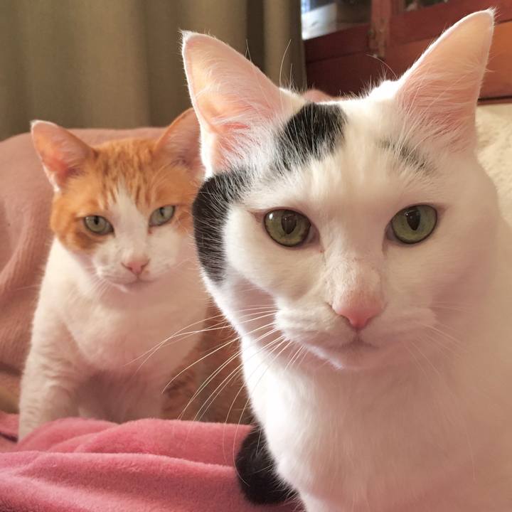 377a4222 ec33 427a 9d5d 3be920160322 1574754794091