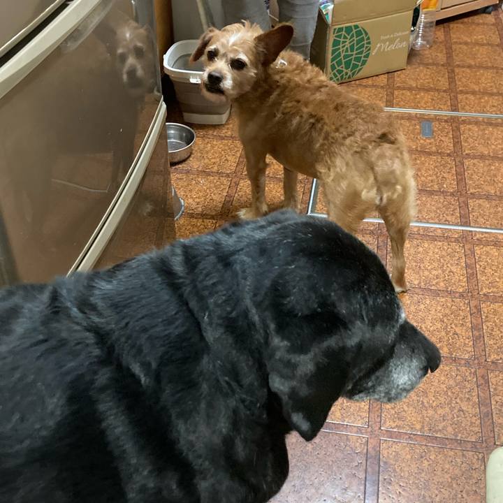 377a7273 1e93 42c8 a6a3 9593840d0ac6 1664623930677