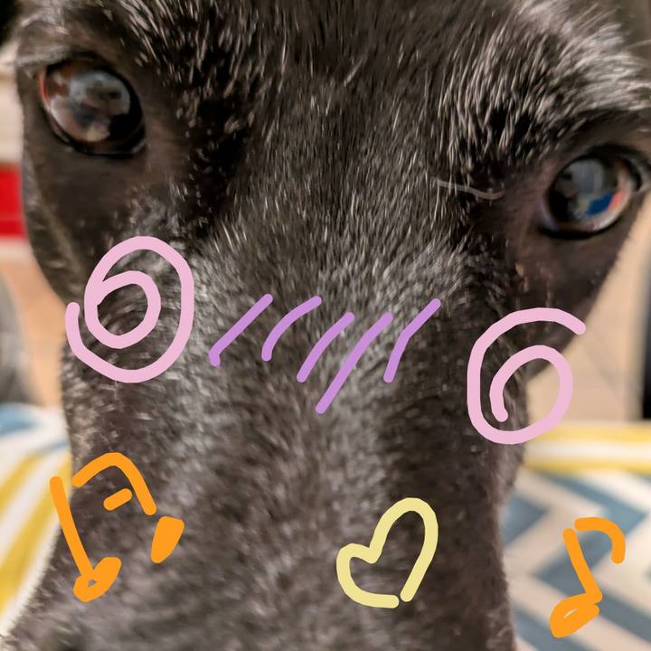 377a96a1 e9df 4557 a0d9 d3d8f1b417dc 1732797318740