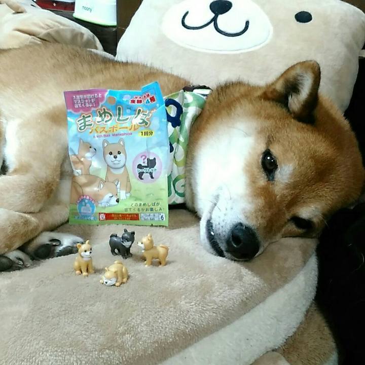 377aa555 0fe6 4adf 8c28 e582e4f76858 1560948404559