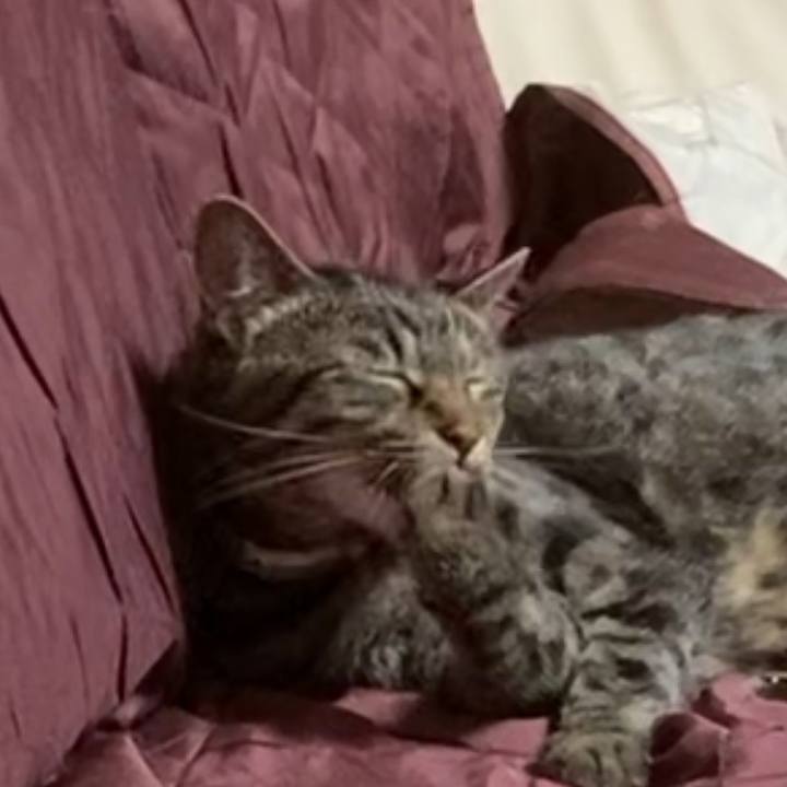 377abb87 913d 4100 bd3a 2951fe1e472e 1625582530058