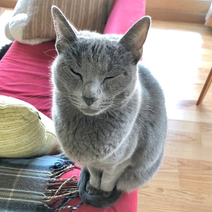 377b17ab 63b8 4374 8cb3 f46fff7a9456 1602896639001