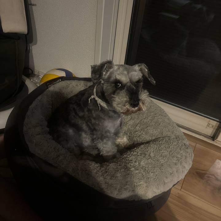 377b2b54 0690 4fdb 85e3 b9919fec89f5 1720181156843