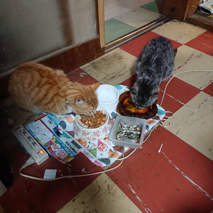 377b72e5 a036 4689 aa79 93a5b71d7edf 1592733617447