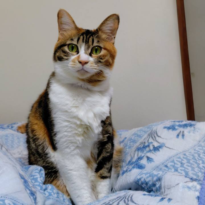 377b800e c7b4 4770 b2ae 6eff5d09e71a 1769813855845