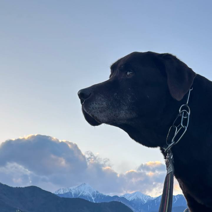 377b8833 48cb 4927 a0c8 5628dc6c6c4f 1774184331715