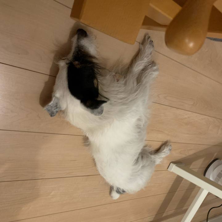 377c2018 da98 486c 8dd0 ba3981807a5d 1693054922694