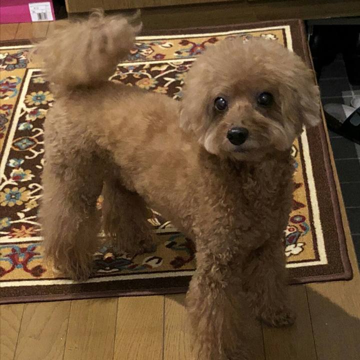 377c24d7 f03a 4e17 83f0 109ed3e5499f 1535370755690