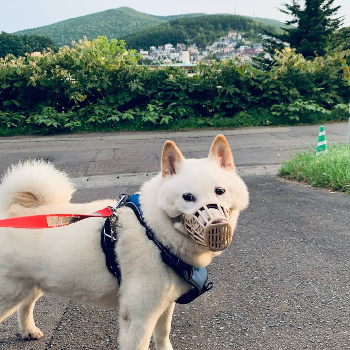 377c3102 276f 4fb2 8d3b 041024ea216f 1630011771011