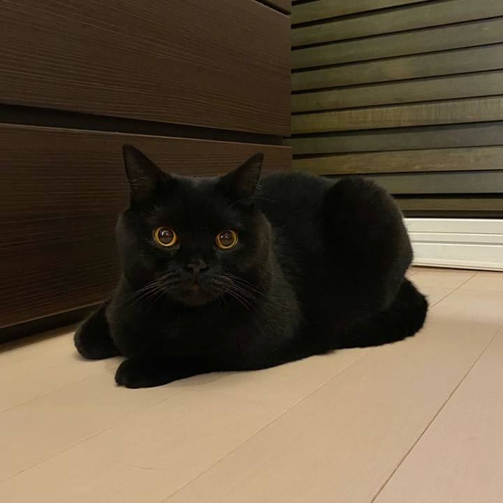 377c440a 9936 41d3 a2f9 0b5448ed7c54 1664285279626