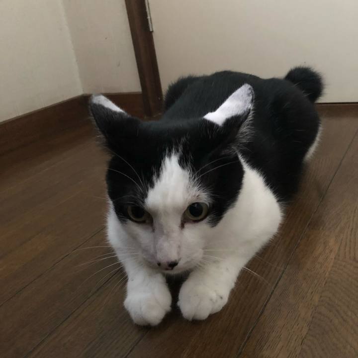 377c5065 74f9 4ab5 b847 40d17399d723 1566553446956