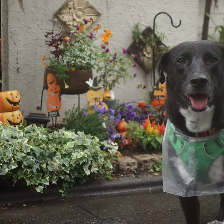 377c57f3 d289 4718 bc89 091417271443 1602324343552