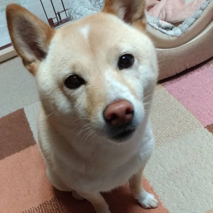 377cce46 26ab 4f2b b34f 5d0913f63165 1583961335903