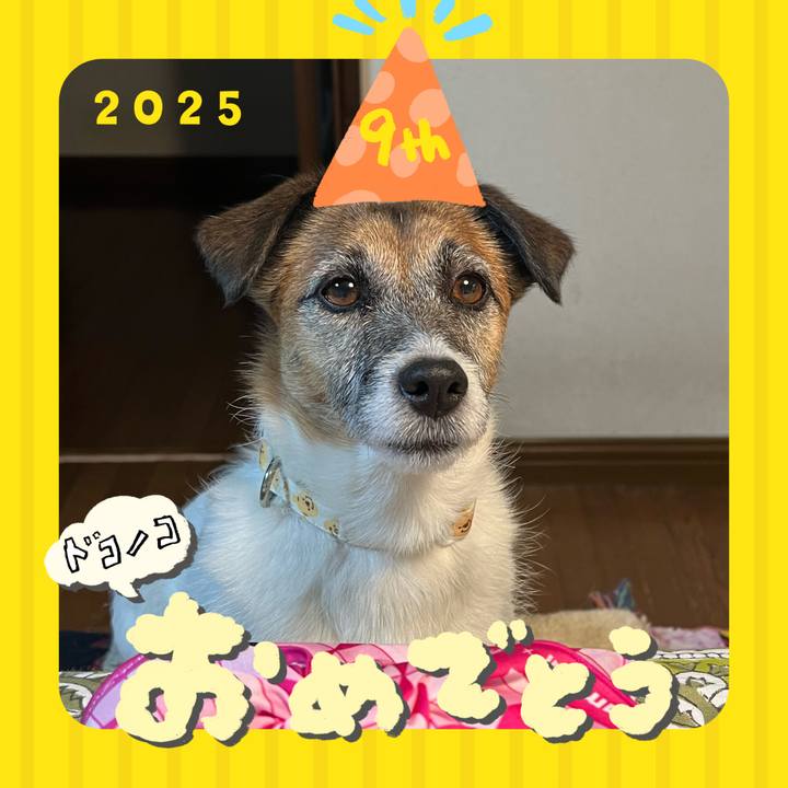 377cdcee 64ae 4dba 8856 4f5175a87f37 1749123746110