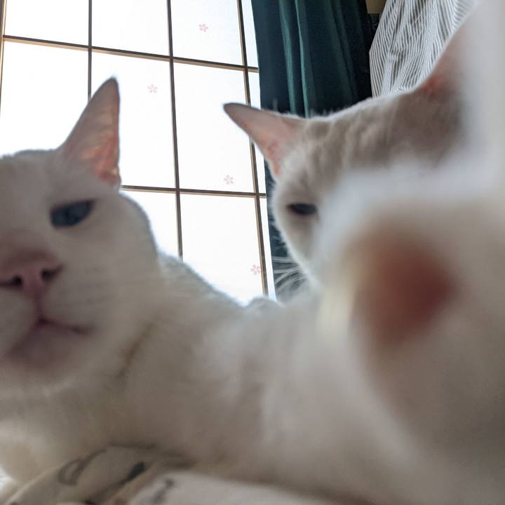 377ce3ab 6962 47e7 a92f e2884f63efc5 1660787808555