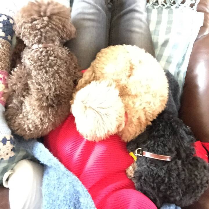 377d0b69 ba29 4a58 b6d9 4f90c7ba1dc3 1522595192950