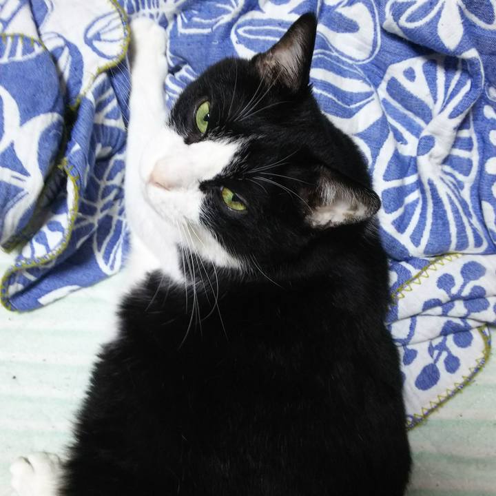 377d4634 25e8 4bdf 9559 78b671706acb 1537410114624