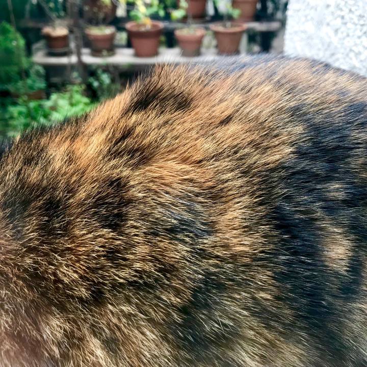 377d4ad7 bbde 4e9f ad23 25da20145b93 1554966475260