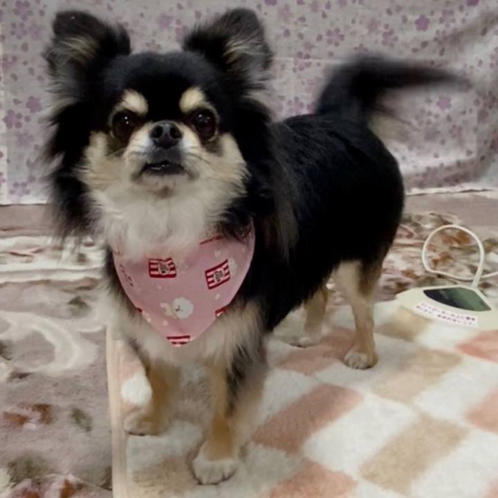 377d92e8 28d2 4ed9 924a d4843b5615f0 1647922014003