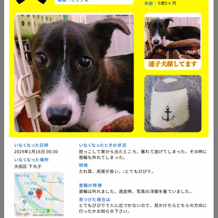 377da533 d192 4ea3 887e 5b4ae4e8a579 1547636127387